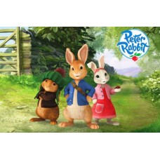 A5Peter3 Vafa iepurasul Peter Rabbit si prietenii